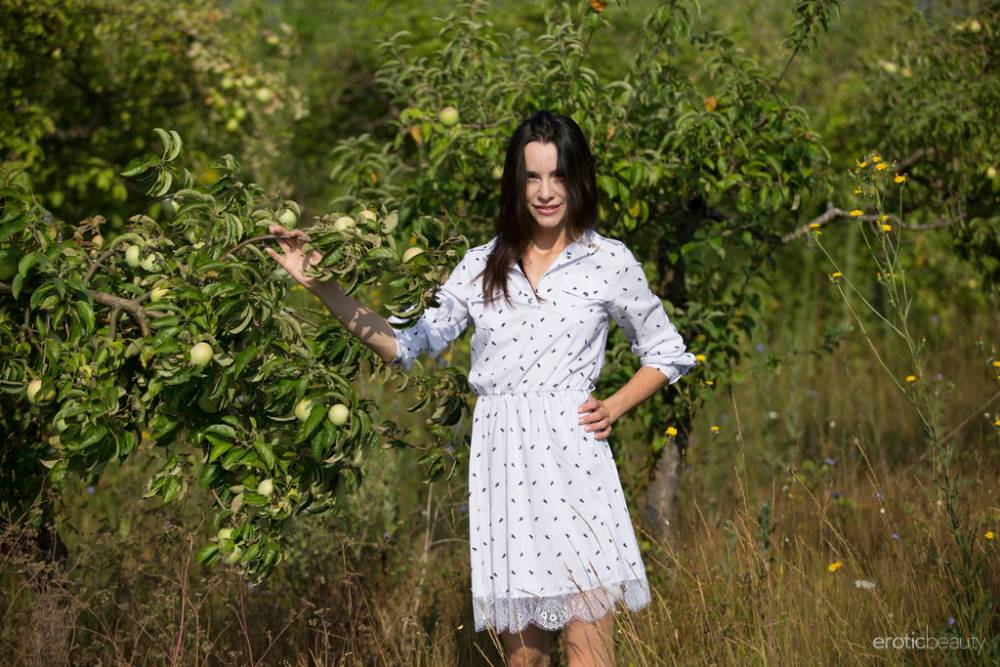 Dark haired teen Adel Morel picks apples and flowers in her birthday suit | Photo: 526249