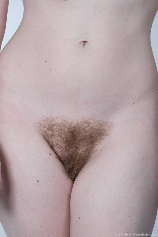 Solo model Ana Molly exposes her hairy pits before showcasing her beaver | Photo: 568406