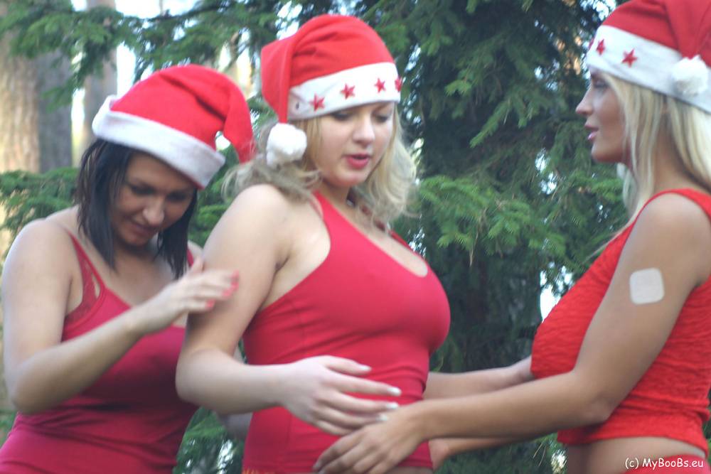 Busty lesbians play with each other nipples while in the woods in Xmas attire - #16