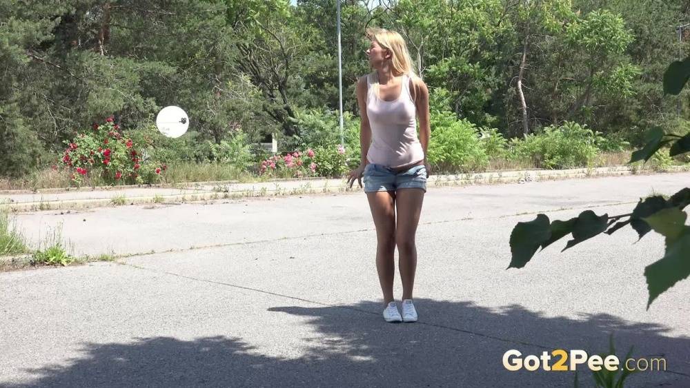 Blonde female Nikki Dream can't hold her pee any longer and squats on roadway - #11