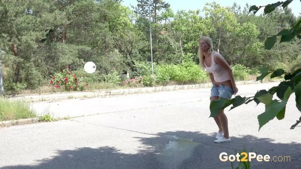 Blonde female Nikki Dream can't hold her pee any longer and squats on roadway - #10