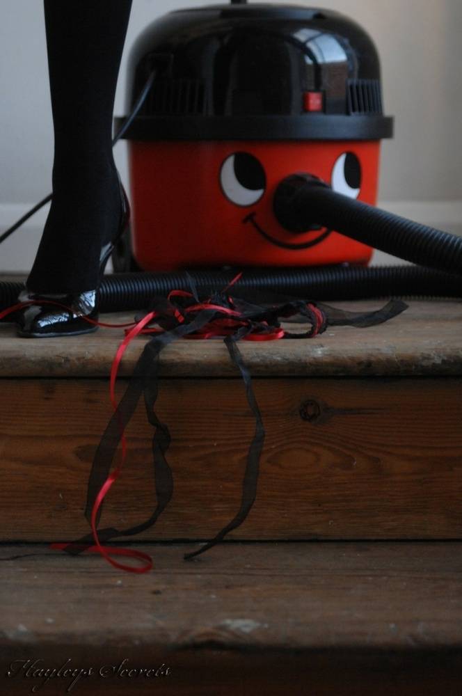 Meet my friend Henry the Hoover He has been down lately so I did a special set - #1