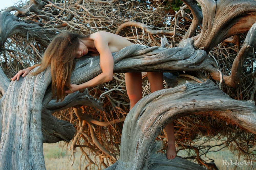 Beautiful young girl Nedda gets totally naked on the roots of a tree | Photo: 1665675