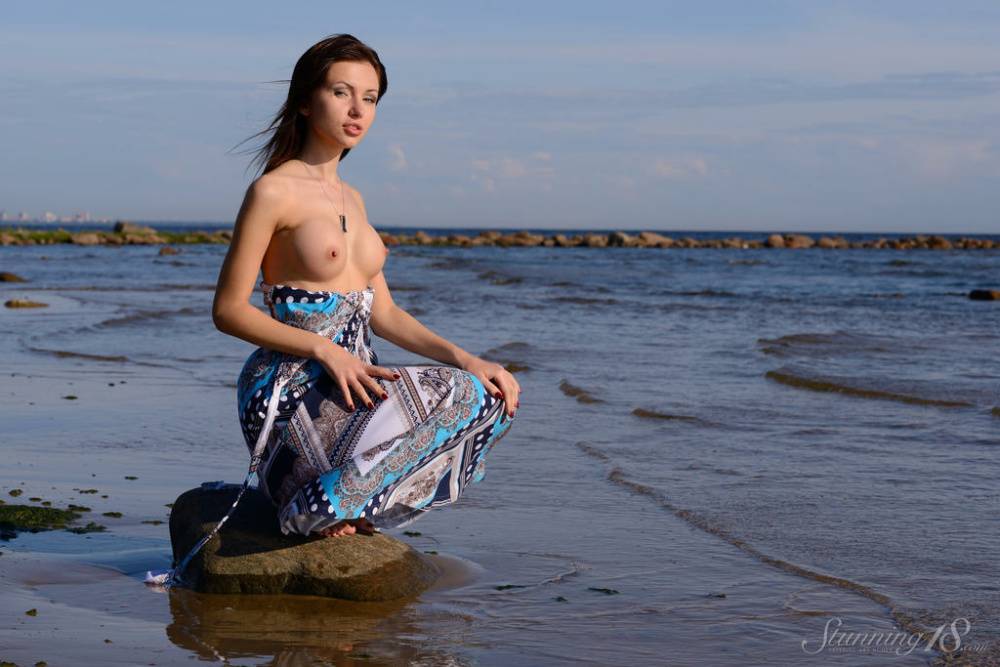 Brunette teenager Sasha Rose slips off her dress to pose nude at water's edge | Photo: 98157