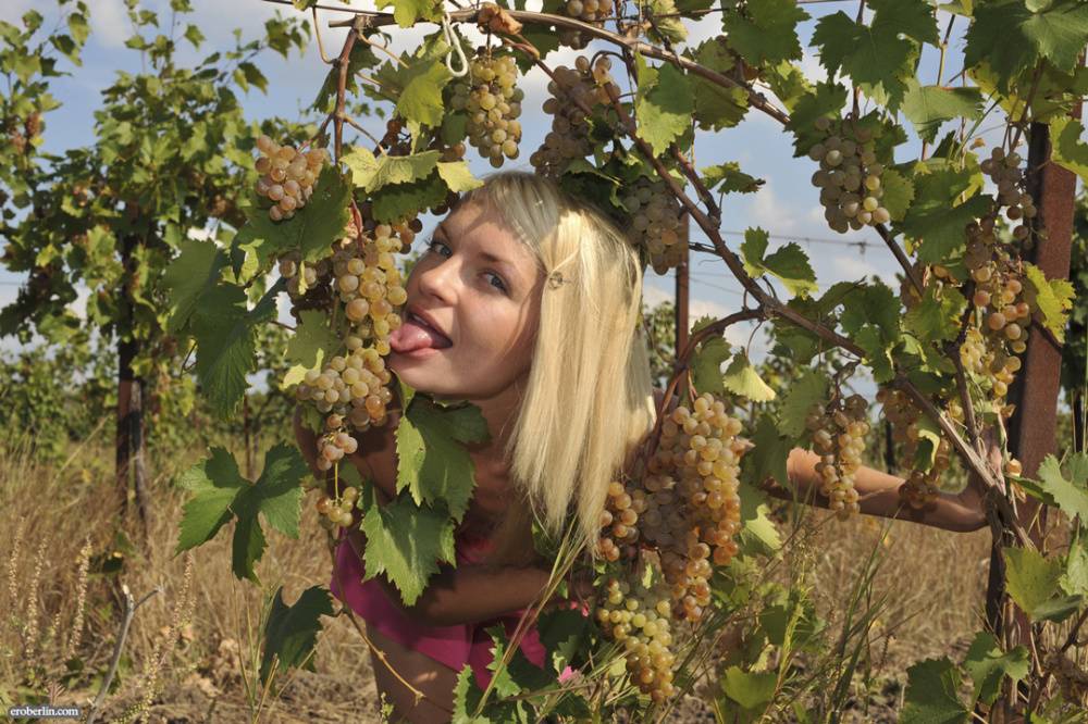 Young Russian girl with blonde hair Helen F picks grapes in the nude | Photo: 138618