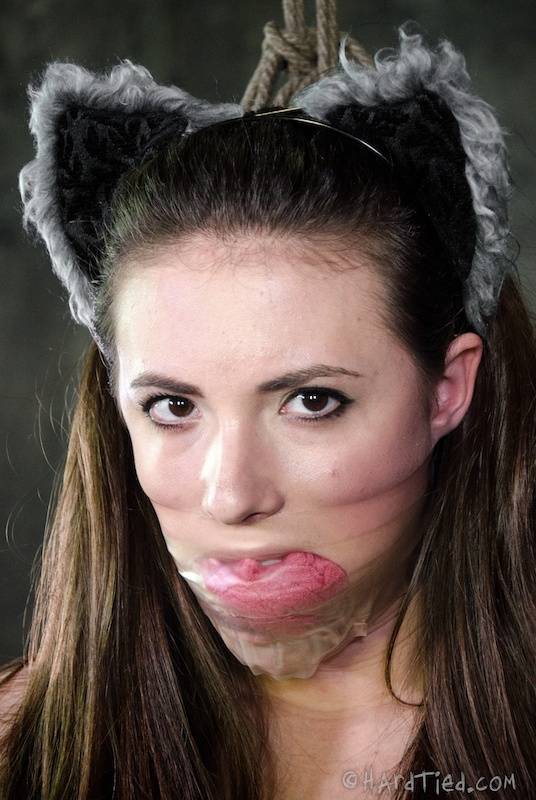 Solo girl Casey Calvert dons cat ears and butt plug tail in dungeon setting - #13